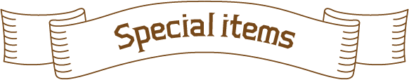 Special Item